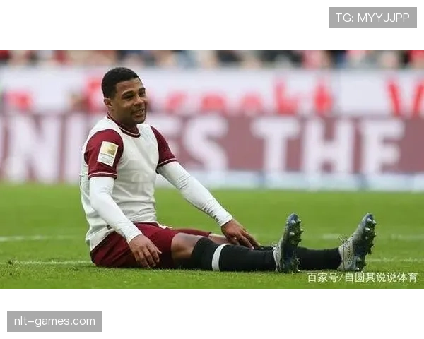 格纳布里技术全面分析